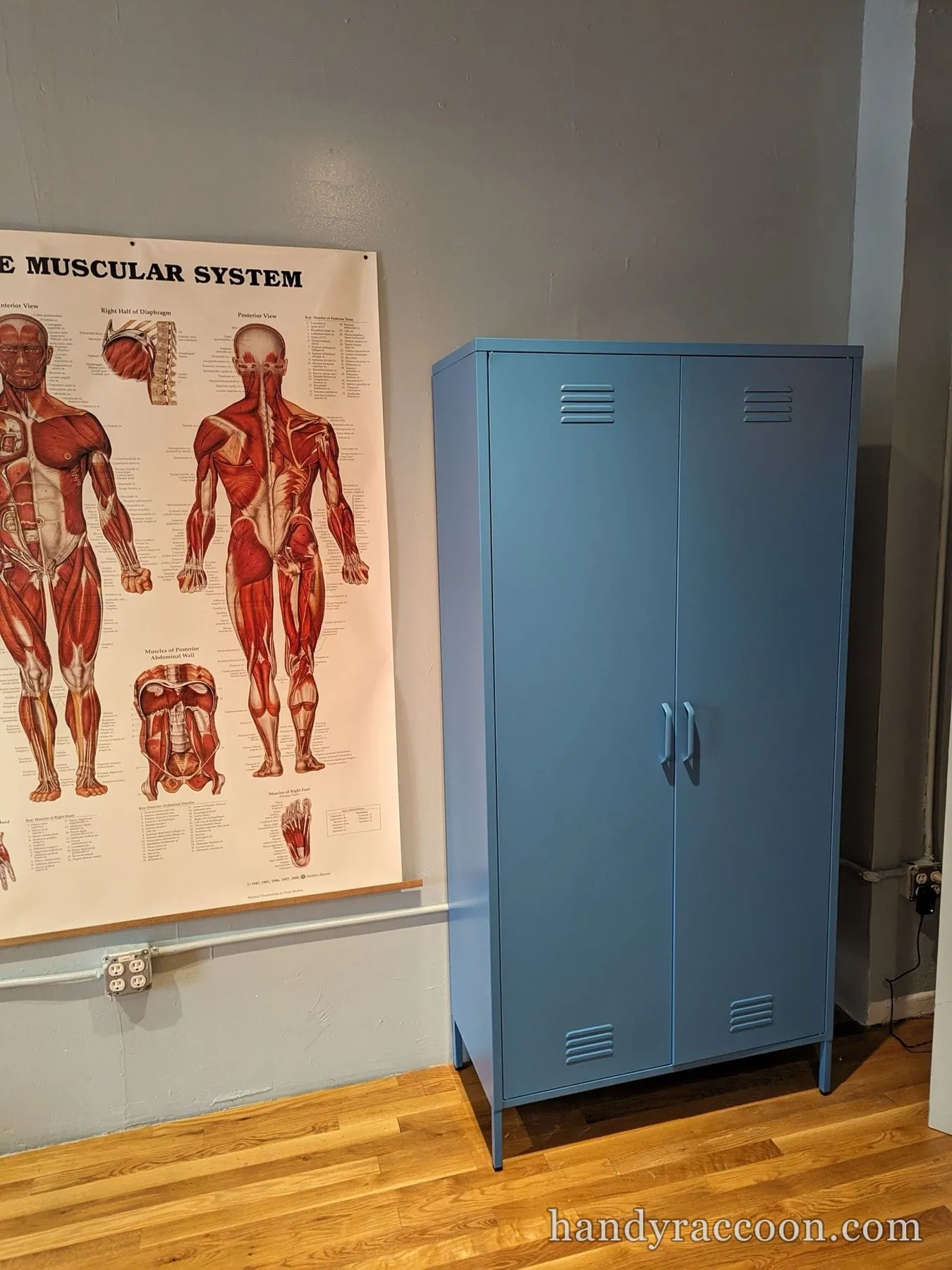 Blue two-door metal storage locker assembled beside a wall-mounted anatomy poster on a wood floor.
