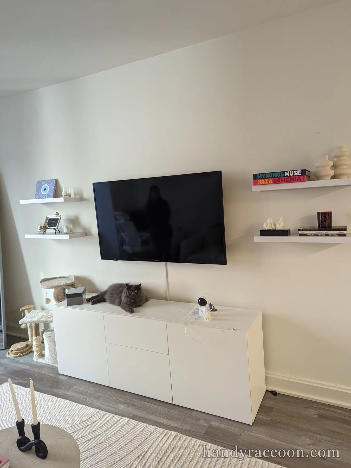 Flat-screen TV mounted above a white console with a gray cat, floating book shelves on each side.