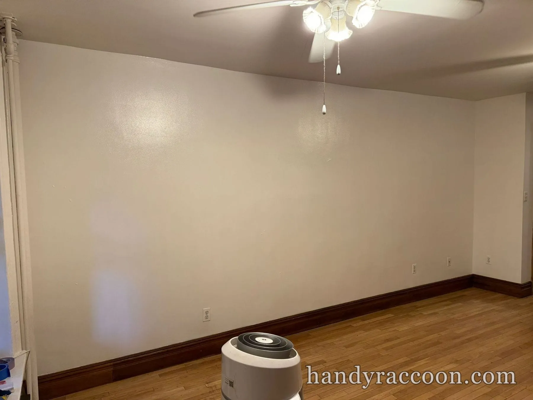 Empty room with a large evenly painted greige wall, dark baseboards, and hardwood floor.