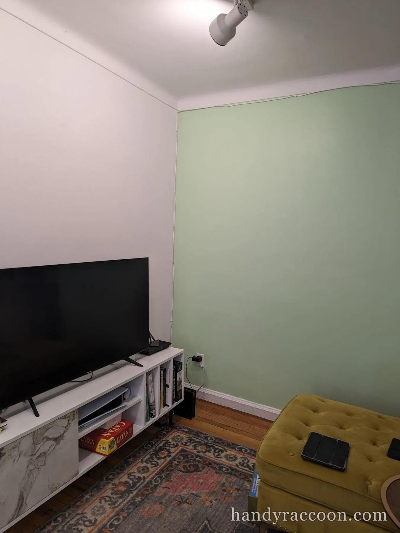 Living room corner with a mint green accent wall, white wall, TV on a console, and patterned rug.